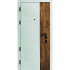 Входные двери EVO F 120