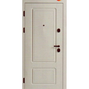 Входные двери LNZ F 142