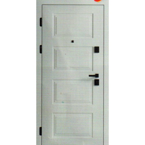 Входные двери EVO F 146