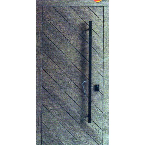 Входные двери EVO F 152