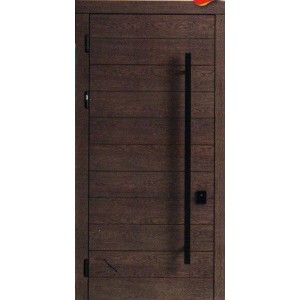Входные двери EVO F 153
