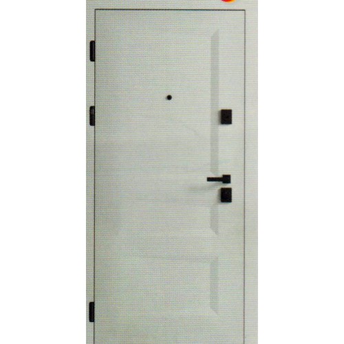 Вхідні двері EVO F 159