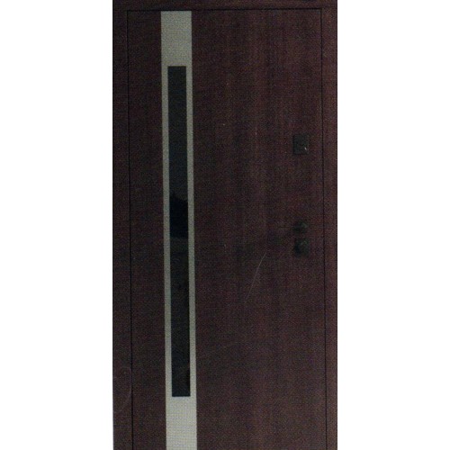 Вхідні двері EVO F 160