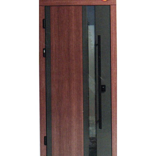 Вхідні двері EVO F 163